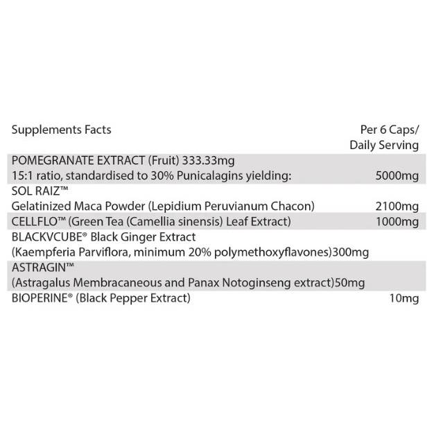 HR Labs Ride On - Afbeelding 3