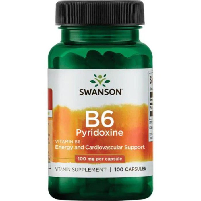 Swanson Vitamin B6 Pyridoxine